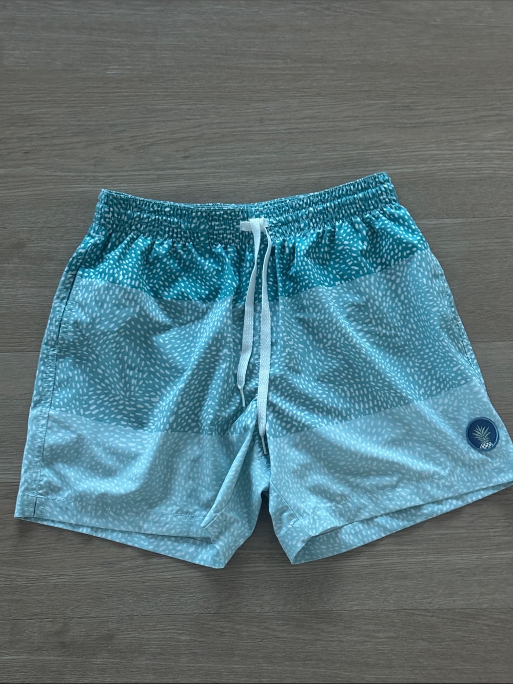 chubbies Aqua Blue Patterned Swim Trunks